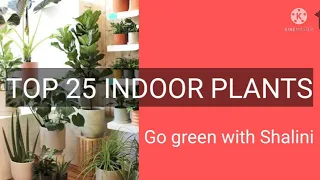 Top 25 best  indoor plants producing 24 hours oxygen, home gardnening | l