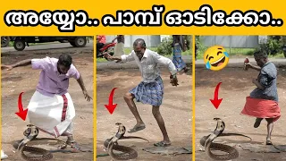 Snake with alcohol Prank | Funny Video 🤣