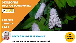 Занятие "Гости званые и незваные" рубрики "Неурочные беспозвоночные" с Вадимом Марьинским