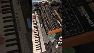 testing sequential prophet rev2 + op-z jam 1