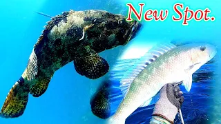 NEW SPOT FOR SPEARFISHING.|| Gabby Ramal