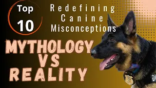 Unveiling the Truth About #misunderstood #breeds .#mythology #debunking #unfair #myths #behavior