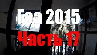 Номер отеля Villa Fatima. Обзор. Гоа. Часть 17. Room at Villa Fatima. Browse. Goa. Part 17.