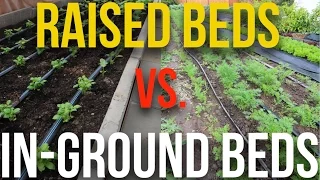 Raised Beds or In-Ground Beds: Which Is The Ultimate Gardening Game-Changer?