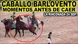 VEA LOS ÚLTIMOS MOMENTOS DEL CABALLO BARLOVENTO,ANTES DE DESPLOMARSE,LA RINCONADA 24 DE SEPTIEMBRE.