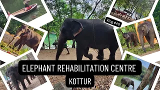 Elephant Rehabilitation Centre | Kottur | Trivandrum | Kerala Vlog #40