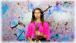 Perfect - Ed Sheeran (alto sax cover)Malika Smitskaya