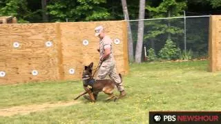 A Military Dog and His Handler