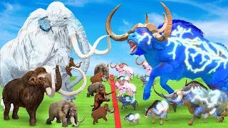 Woolly Mammoth Elephant vs 10 Big Bulls vs Giant Tiger Wolf Attack Cow Elephant Saved by Mastodon