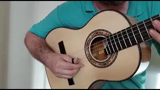 viola de maple luthier Allan batista