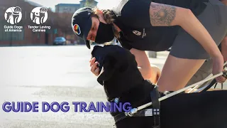 Guide Dogs of America Training Department