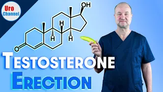 What testosterone does for erections | UroChannel