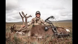 DIY ALASKAN CARIBOU WITH BOW