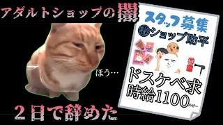 【２日で辞めた】ア〇ルトショップバイトの闇　#猫meme   #猫マニ   #猫ミーム
