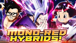 THE MOST JUICED UP BEAST HAS EVER BEEN! MONO RED HYBRIDS DO RIDICULOUS DAMAGE! | Dragon Ball Legends