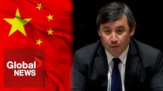 Michael Chong testifies on allegations China targeted family, was unaware until news report | FULL