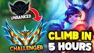 How to ACTUALLY Climb to Challenger in 5 Hours with Nunu Jungle Season 14