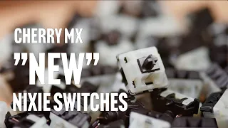 The HOLY GRAIL of SWITCHES have ARRIVED! | Nixies Switches Review