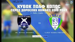 LIVE | ФК "Жупан" Винники - "Сокіл" Великі Глібовичі (Кубок ЛОАФ Колос серед дорослих комнад 2019)