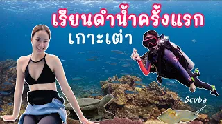 เรียนดำน้ำที่เกาะเต่าครั้งแรก SCUBA พาไปเปิดโลกใต้ทะเลลึก 18 เมตร | Vlog หน้าสดลงทะเล🐢🤿