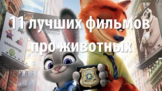 11 лучших фильмов про животных