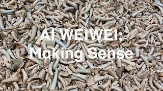 Ai Weiwei: Making Sense