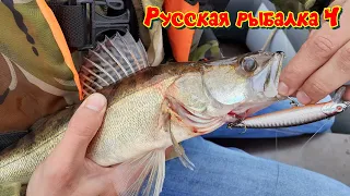 Рыбалка в удовольствие а  не ради фарма. Рыбалка ради рыбалки. Стрим ВПК fishing Русская рыбалка 4.