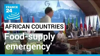 African countries facing food-supply 'emergency' amid war in Ukraine • FRANCE 24 English