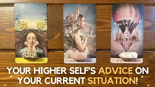 Your Higher Self's advice on your current situation! ✨😇🙏💕✨ | Pick a card