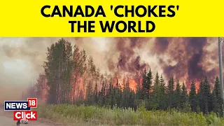 Canada Wildfires 2023 | Toronto Skyline Covered In Haze From Canada Wildfires | Canada News | News18