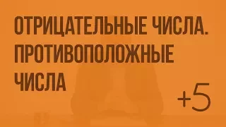 Отрицательные числа. Противоположные числа (Слупко М.В.). Видеоурок по математике 6 класс