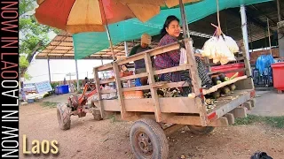 Now in Lao | The Unusual Things you will see at Small Village Markets in Laos