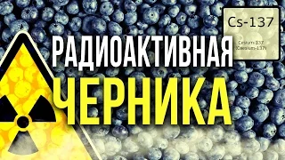 ☢  Радиоактивная Черника! [Олег Айзон]