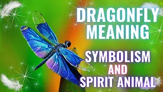 Angelic Sign -Blue Dragonfly Spirit Animal