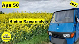 Ape 50 "Kleine Rapsrunde 2024"