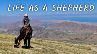 Life As a Shepherd in Kyrgyzstan || Short Documentary