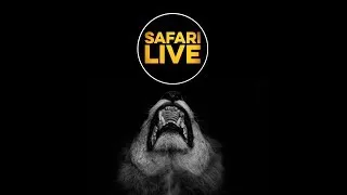 safariLIVE - Sunrise Safari Part 1 - Jan. 29, 2018