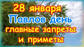 Павлов день - 28 января. Главные запреты и приметы