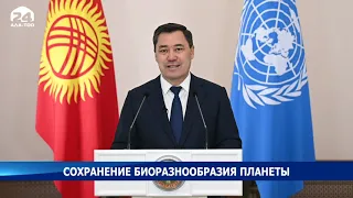Президент Садыр Жапаров рассказал о мерах по защите горного биоразнообразия в Кыргызстане