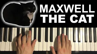 Maxwell The Cat Meme Song (Piano Tutorial Lesson)