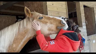 The horse cuddle test!!