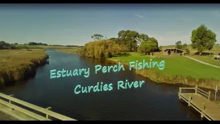 Estuary Perch Fishing - Curdies River