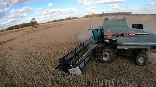 Heart & Soul of a Gleaner - R & S Series - 11 Farmers - Harvest 2020 Chasing