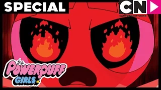 The Powerpuff Girls | Run Blossom Run | SPECIAL | Cartoon Network