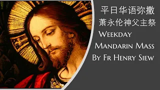 2021.12.17 将临期第三周 华语弥撒  萧永伦神父主祭  Mandarin Mass celebrated by Fr Henry Siew