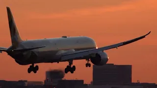 Frankfurt Plane Spotting Golden Hours