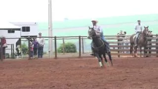 ST Zé Pereira - Potro 3ª Prova Rancho Mariana