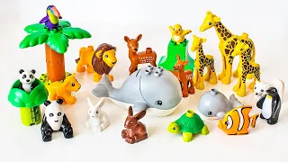 Игрушки Лего Дупло Животные. Развивающее видео для детей.