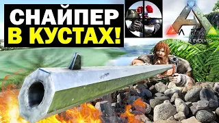 ЛУЧШИЙ СТРЕЛОК  В ARK! ВЫЖИВАНИЕ С ТРАЙБОМ НА ОФ! ГРИФ НЕМЕЦКОГО ТРАЙБА! ХРОНИКИ БЕГИННЕРОВ! 5