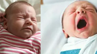 cute babies sneezing - funny compilation